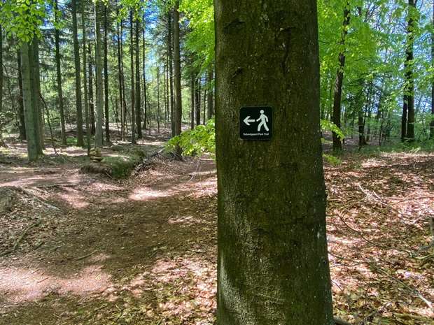 park trail5