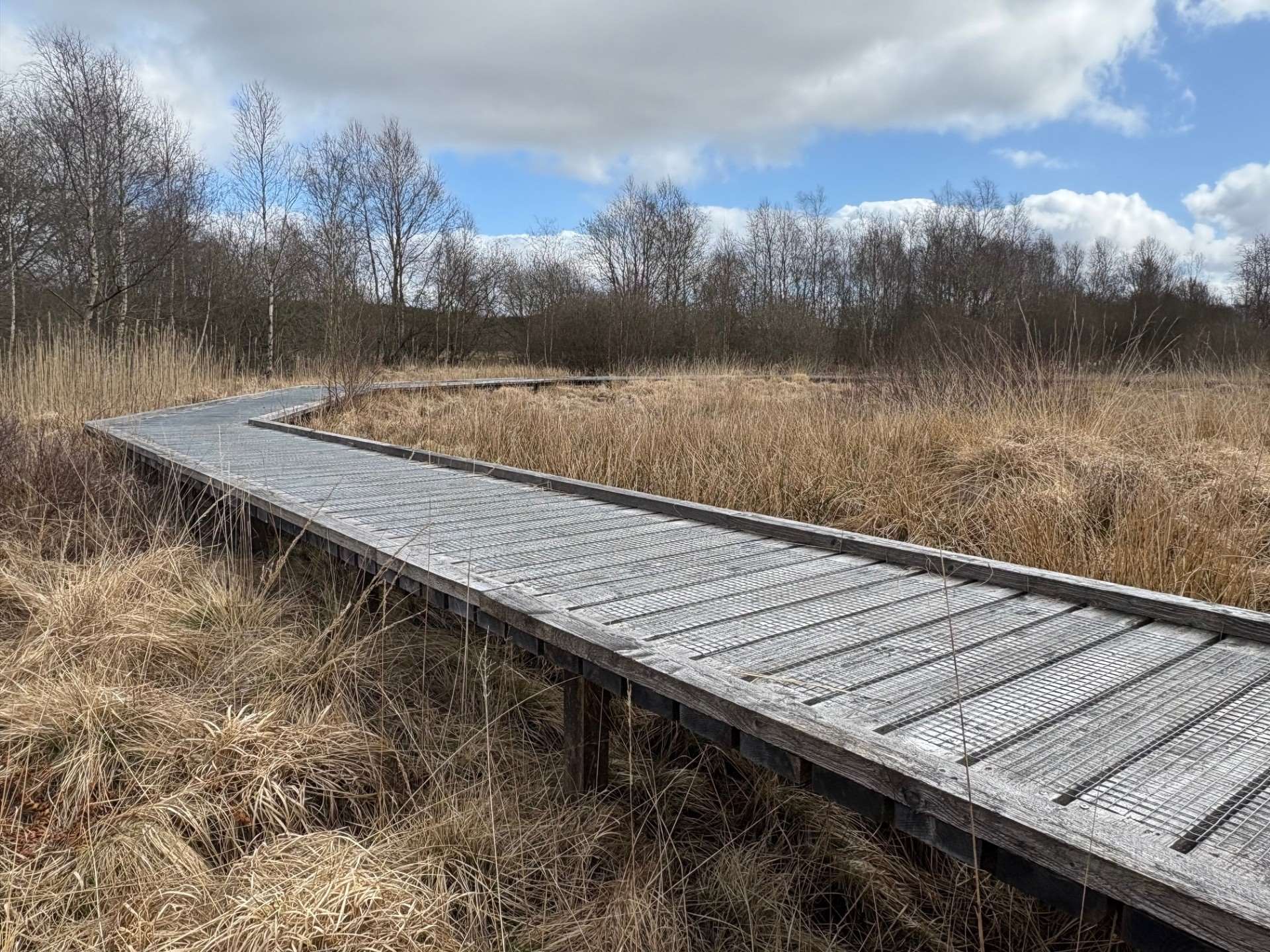 skyggeå