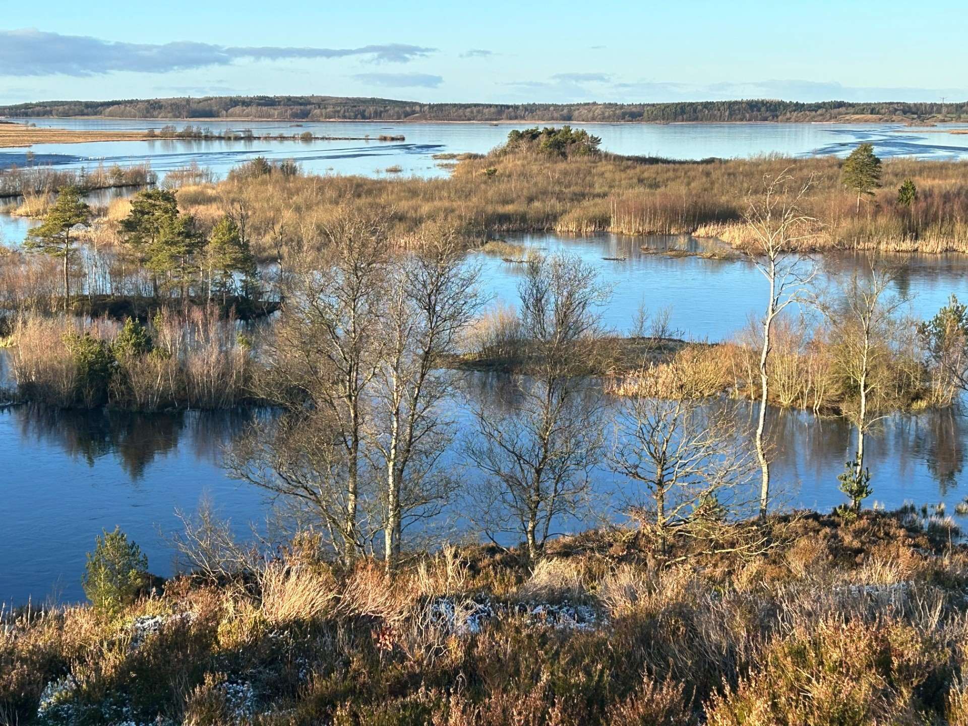 tollundmandens egn