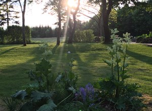 Golfophold Silkeborg